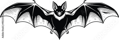 Black and white bat illustration with open wings, detailed woodcut style flying fruit bat, isolated on white background, spooky Halloween vector.