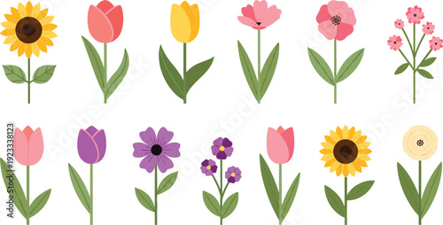 Colorful Spring Flower Collection with Tulips, Sunflowers, and Blossoms for Garden, Nature, Seasonal Decoration, and Floral Design Projects