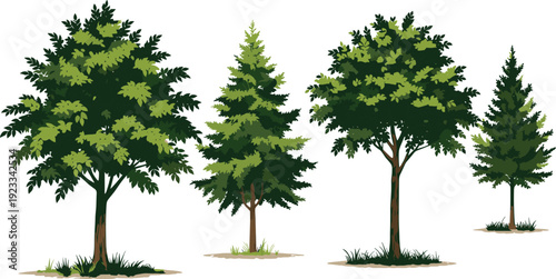 Set of Isolated Vector Tree Illustrations Featuring Green Deciduous Leafy Trees and Evergreen Conifers on a Clean White Background for Nature Landscape Design Projects