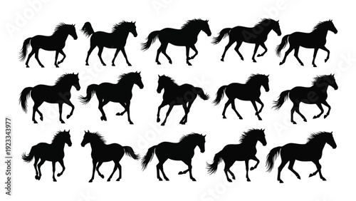 A group of horse silhouettes running in unison isolated on white background, Vector