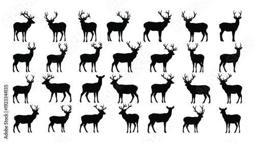 A group of deer silhouettes in various poses isolated on white background, Vector
