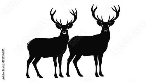 Two deer standing side by side with antlers isolated on white background, Vector