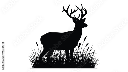 A black silhouette of a deer with antlers standing in a field isolated on white background, Vector