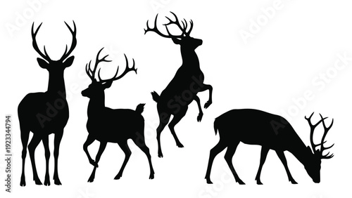 Four deer silhouettes in different poses isolated on white background, Vector