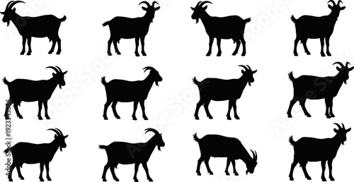 Goat silhouette icon set, black farm animal shapes collection, various standing and grazing poses, simple flat vector illustration isolated on white background