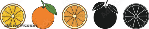 Fresh Orange Fruit Vector Set Featuring Whole Oranges with Leaves and Sliced Citrus Segments in Hand Drawn Flat and Silhouette Styles for Food Packaging