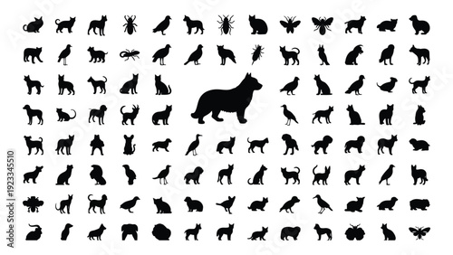 A large group of dog silhouettes with one prominent dog in the center isolated on white background, Vector