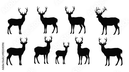 A group of deer silhouettes on a white background isolated on white background, Vector