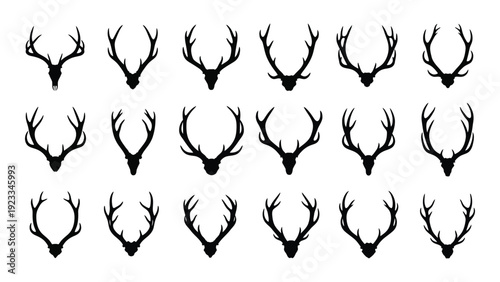 A collection of deer antlers in various shapes and sizes isolated on white background, Vector