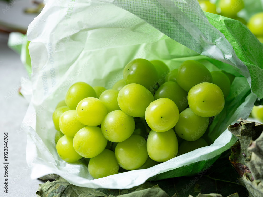 custom made wallpaper toronto digitalbunch of grapes, shine muscat