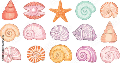 Pastel Seashell Collection With Starfish Nautilus And Marine Shell Vector Set