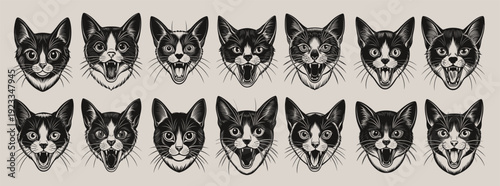 flat cute meowing snowshoe cat head silhouette