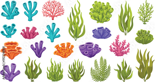 Colorful Sea Coral And Underwater Plants Collection With Marine Reef Elements Illustration Set