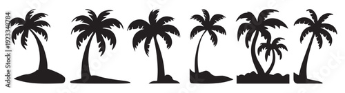 black palm trees set isolated on white background palm