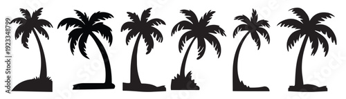 black palm trees set isolated on white background palm