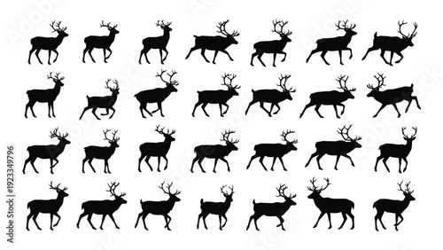A collection of black silhouettes of deer in various poses isolated on white background, Vector