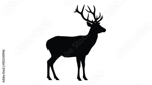 A black silhouette of a deer with large antlers isolated on white background, Vector