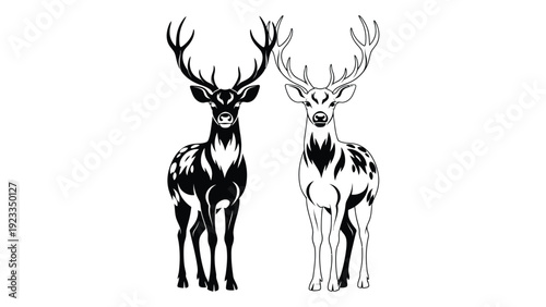 Two deer with antlers standing side by side isolated on white background, Vector