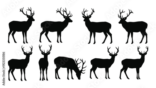 A group of deer silhouettes in various poses isolated on white background, Vector