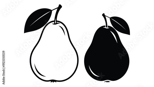 A black and white drawing of two pears isolated on white background, Vector
