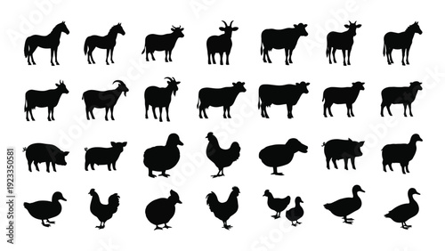 A collection of farm animal silhouettes isolated on white background, Vector