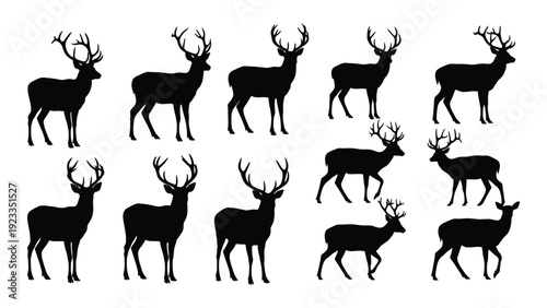 A group of deer silhouettes standing in various poses isolated on white background, Vector