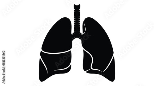 A black and white image of human lungs isolated on white background, Vector