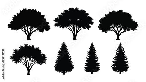 A group of tree silhouettes on a white background isolated on white background, Vector