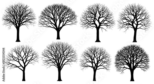 Collection of eight bare deciduous tree silhouettes in winter.