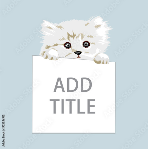 Cute White Kitten Holding Blank Sign Board Vector Illustration. Perfect for greeting cards, posters, social media, banners, and children's designs.