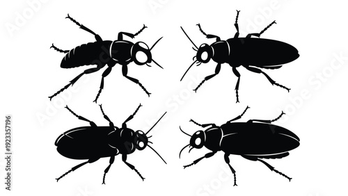 Four black beetles on a white background isolated on white background, Vector