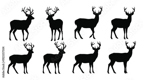 A group of deer silhouettes in various poses isolated on white background, Vector