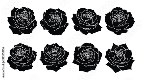 A group of black roses on a white background isolated on white background, Vector