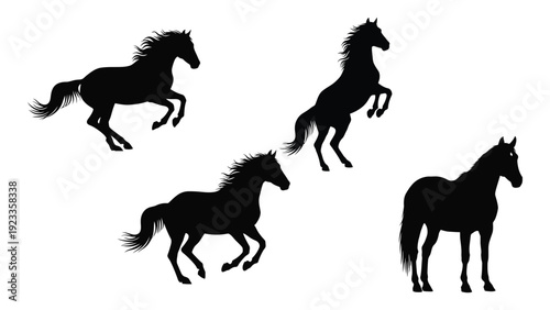 Four black horse silhouettes in different poses isolated on white background, Vector