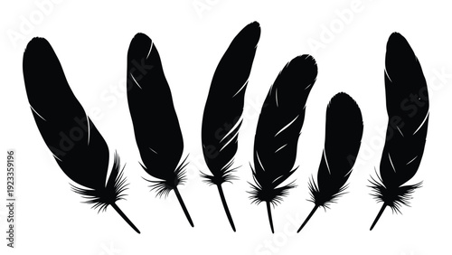A group of black feathers on a white background isolated on white background, Vector