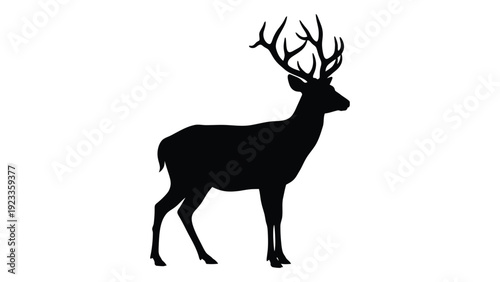 A black silhouette of a deer with antlers isolated on white background, Vector