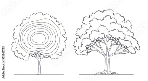 Tree Growth Rings and Mature Tree Outline Drawing