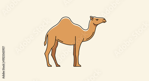Camel Standing Alone Simple Illustration.