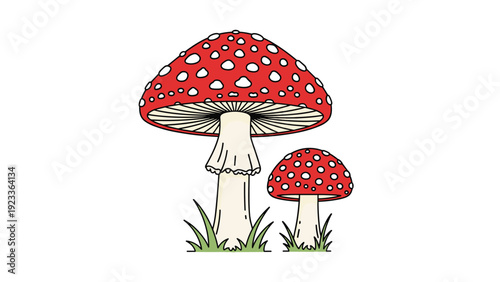 Illustration of two fly agaric mushrooms with iconic red caps and white spots growing in green grass on a white background.