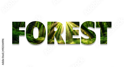 Wallpaper Mural FOREST typography with lush green rainforest and sunlight through trees. Torontodigital.ca