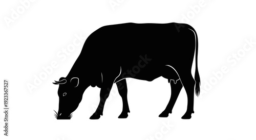 Black silhouette of a cow grazing on grass against a white background.