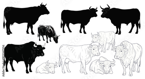 Cattle Collection: Silhouettes, Line Art, and Realistic Drawings of Cows and Bulls