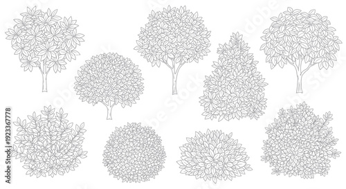 Outline Collection of Various Trees and Bushes, Isolated on White Background