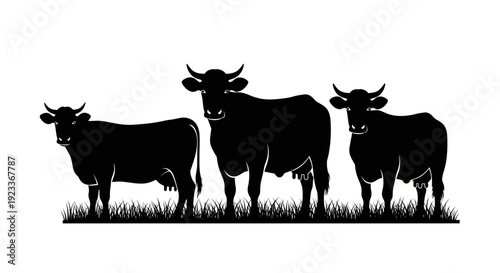 Silhouette of Three Cows Standing in Green Grass Field, Farm Animals