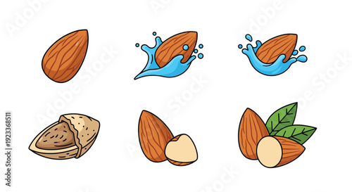 Set of almond nut illustrations featuring whole nuts, shelled versions, and water splash effects for beverage and food products.