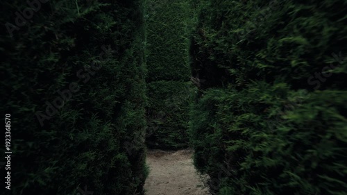 Walking through the hedge labyrinths of Tulcán Cemetery topiary garden in Ecuador