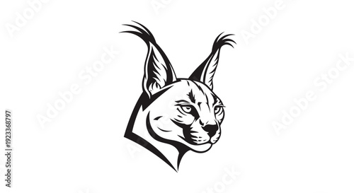 Black and White Caracal Head Illustration.