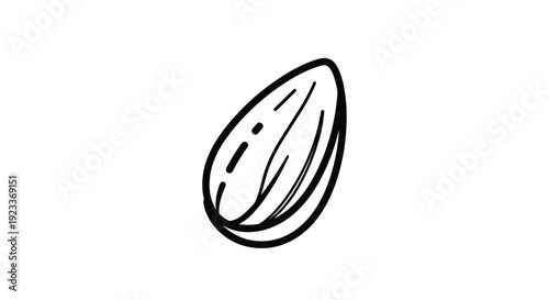Clean black line art drawing of a single almond kernel, providing a minimalist representation of healthy nuts and organic food sources.