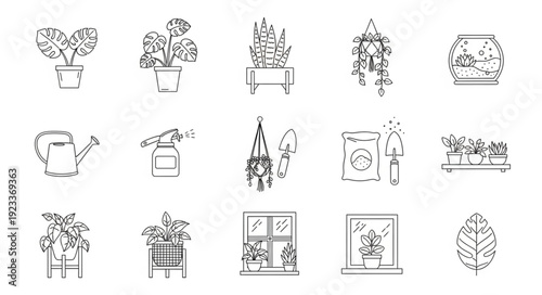 Collection of potted plants in various containers and styles.