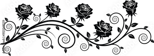 Black rose vine silhouette vector illustration with elegant swirling tendrils and decorative flower blossoms isolated on white background for design